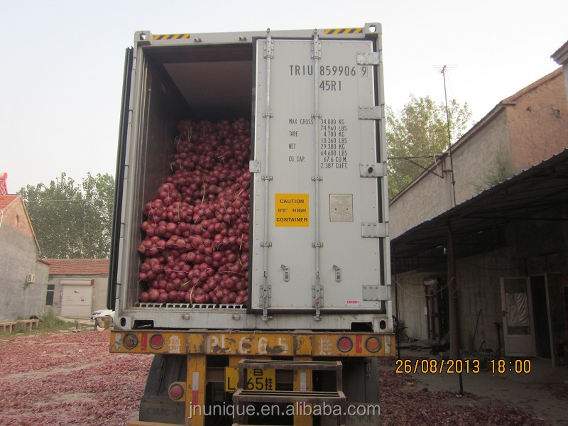 With HACCP Certificate Bulk Fresh Onion