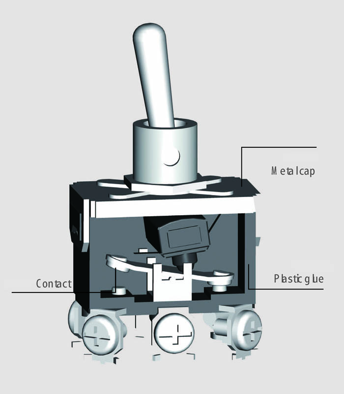T5.jpg