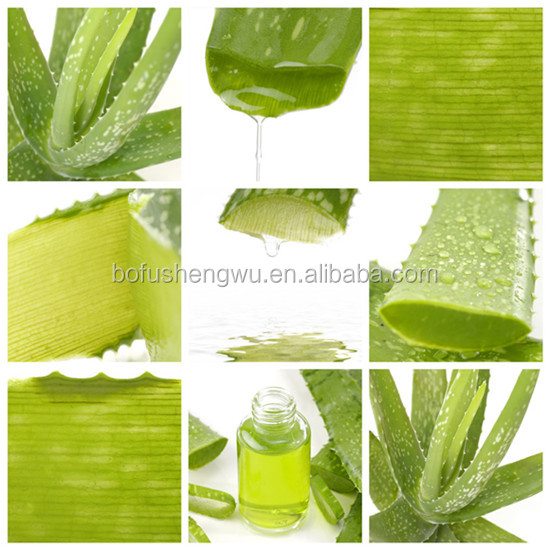 Factory direct supply with competitive price 100% Natural 20% Aloin Aloe Barbadensis Miller