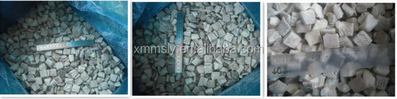 2014 corp frozen oyster mushroom