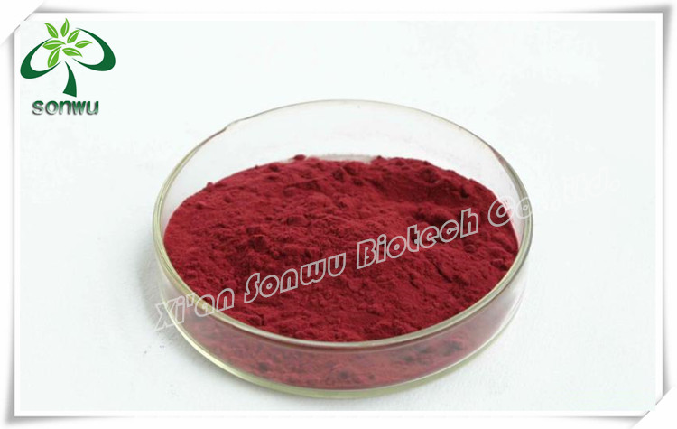 Natural red wine extract powder/red wine polyphenols