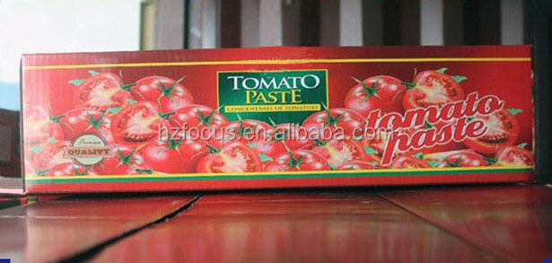 Tomato Paste & ketchup & tomato sauce&Bulk&Bag&Tin