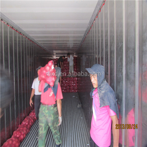 new crop onion fresh onion prices in india red onion price fresh vegetable manufacturer factory farm