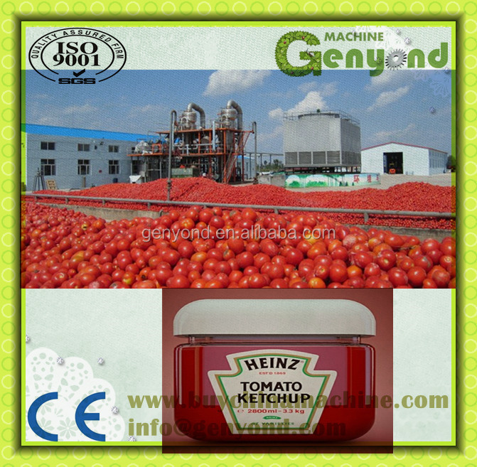 small capacity Tomato paste production line
