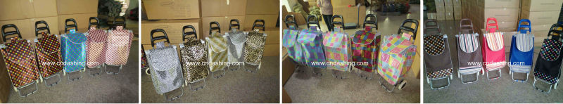 Shopping trolley cart with bag +.jpg
