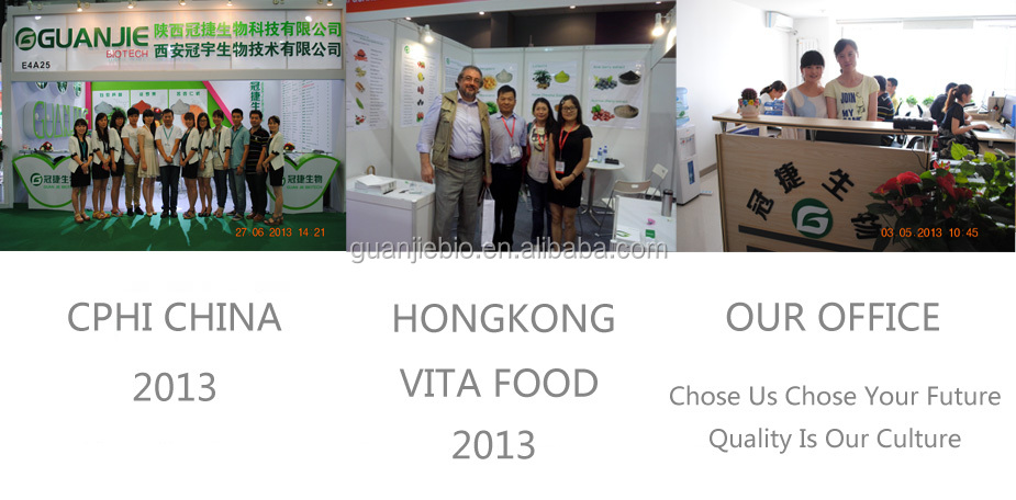 GMP Natural 20% HPLC Cocoa Extract Powder