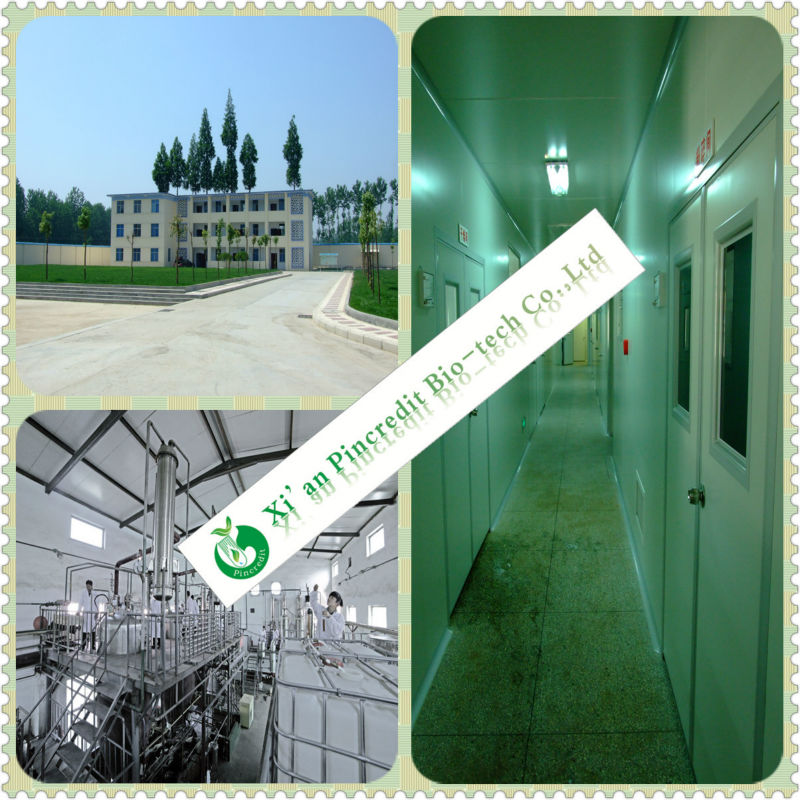 Factory Price Of Instant Coconut Water Powder/Coconut Fat Powder