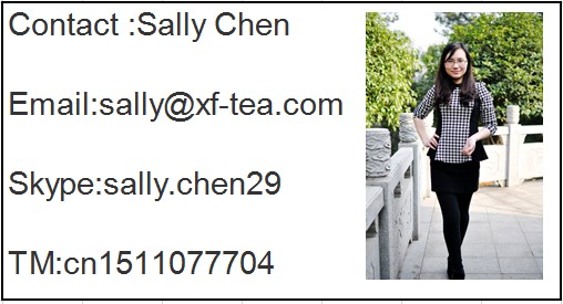 green needle king/green tea/china organic royal green tea