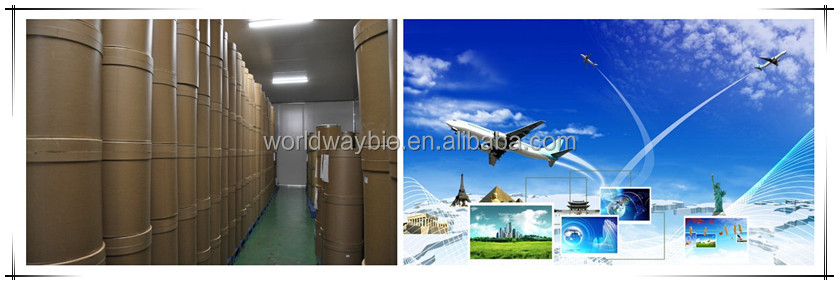 piperine free sample HACCP KOSHER GMP certified China factory food grade black pepper powder bulk piperine extract 10%