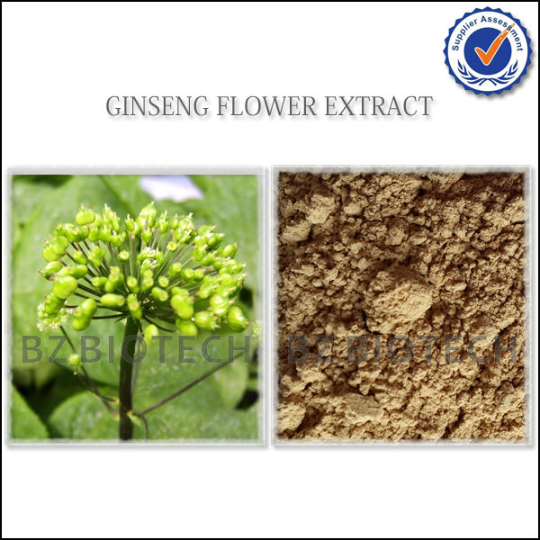 RED GINSENG POWDER EXTRACT FOR TEA,WATER SOLUBLE GINSENG POWDER EXTRACT