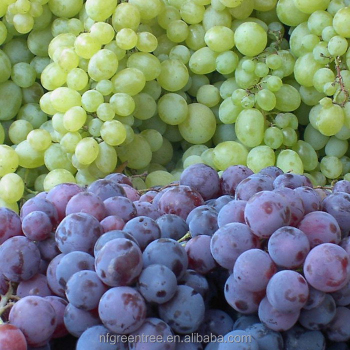 Typical sweet grape sugar from original supplier