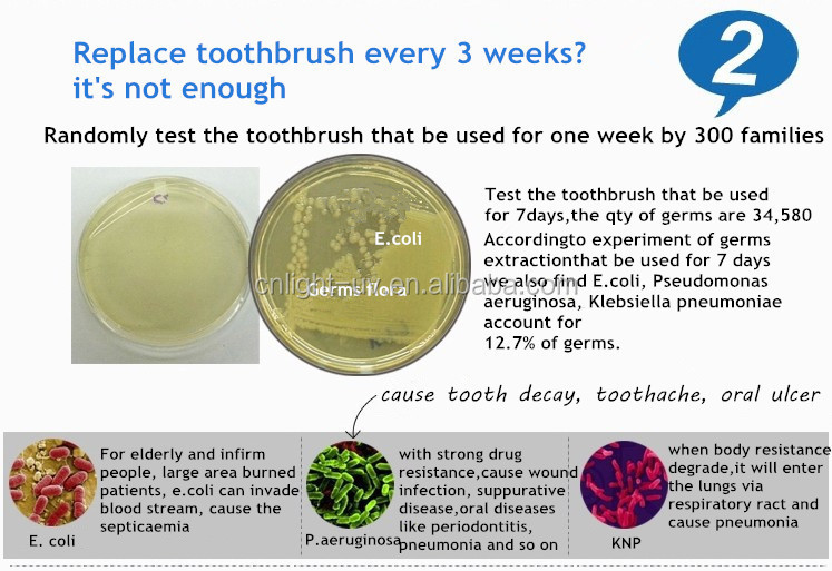 個人旅行の歯ブラシ消毒剤を殺す99.99％細菌 問屋・仕入れ・卸・卸売り