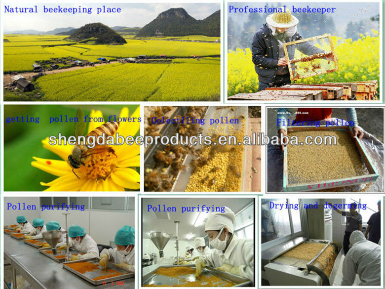 Cell broken nutrition food bee pollen