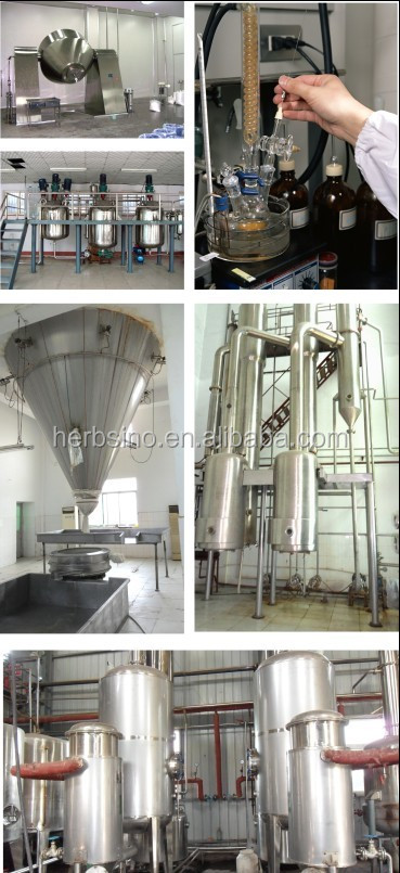 bulk cinnamon extract