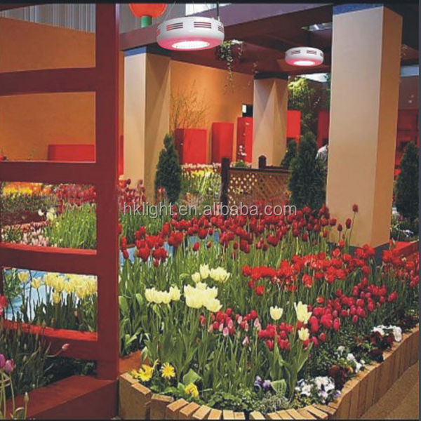 red grow lighting photo