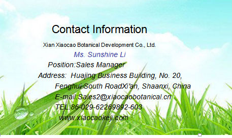 High Quality Cinnamon Bark Extract,Cinnamon Bark Powder Extract Polyphenol