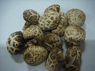 button mushroom can