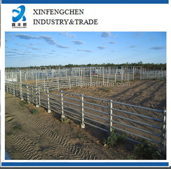Permanent-Cattle-Yards--Derby.jpg