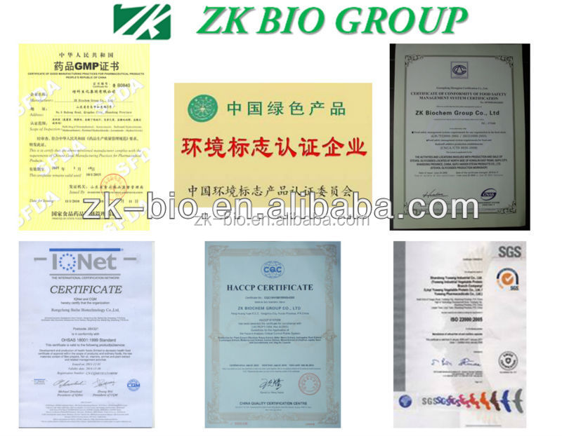 Top quality bulk pure Aloe vera gel