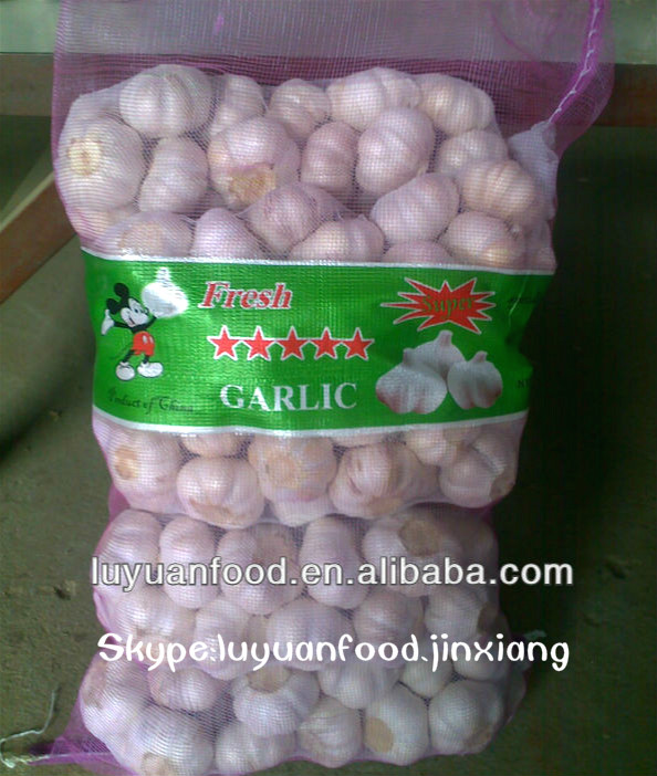 2014 fresh garlic in mesh bag