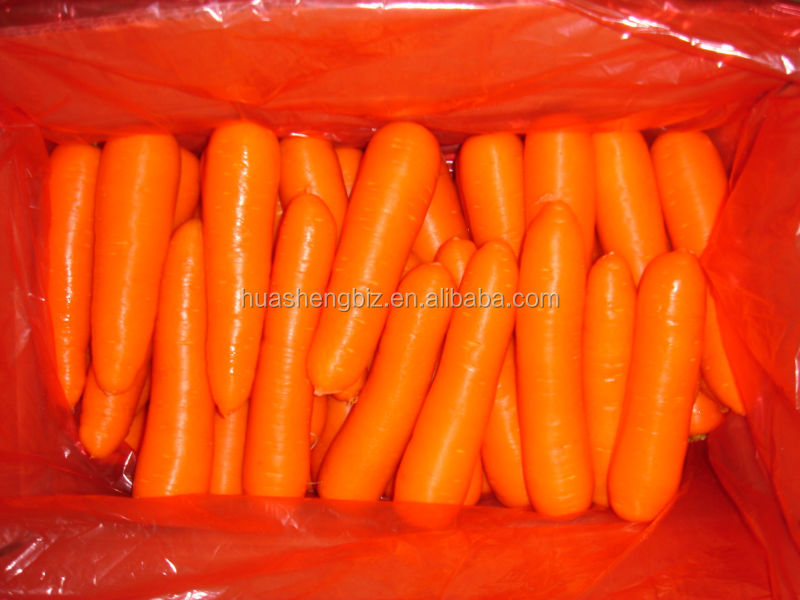 Fresh carrot producer from China