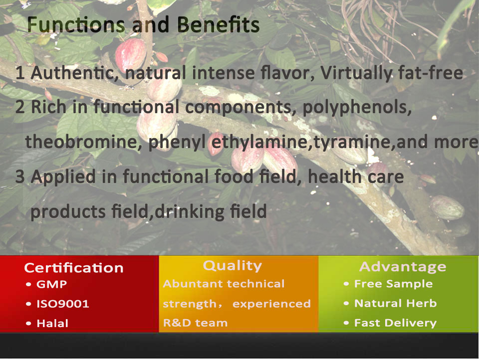 Alkalized Cocoa Powder 10-12%/Alkalized Cocoa/Cocoa Powder Bulk