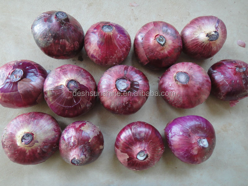 Export New Crop Red Onion