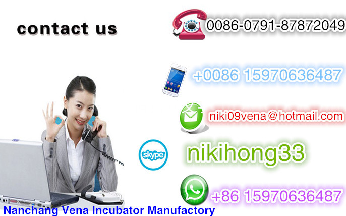 professional labour-saving frozen chicken meat bird plucker machine for cat