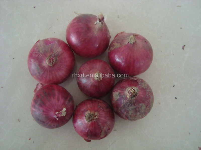 2014 new crop fresh red yellow onion
