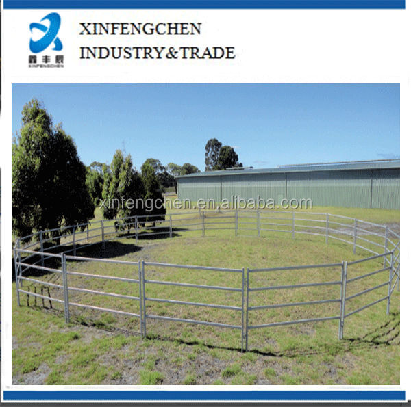 Horse-round-yard_4BarEconomy.jpg