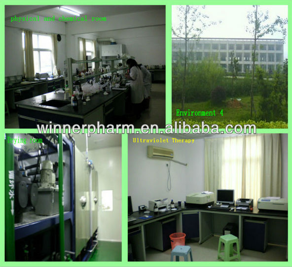 Cinnamon extract powder / 10%-30%cinnamon polyphenol