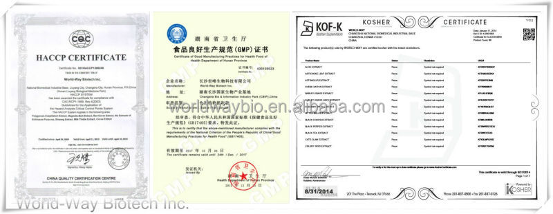 Top quality cocoa seeds extract/ cacao extract theobromine /10% theobromine cocoa extract