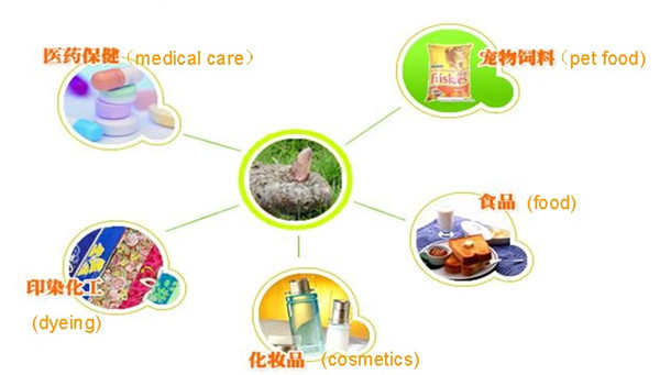 wholesale factory price of konjac noodles in knots