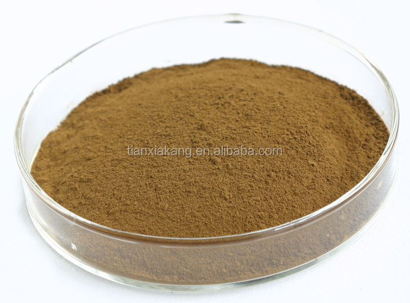 Theobroma cacao L . extract 10% 20% cocoa Theobromine powder