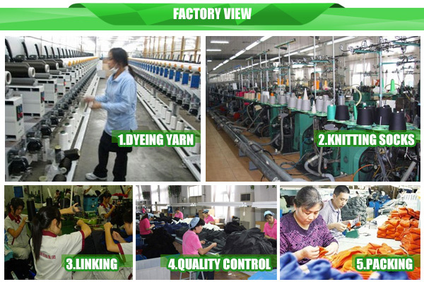 factory-view.jpg
