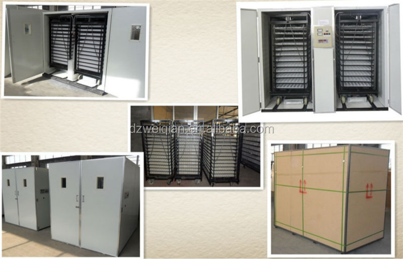 Wq8448 Large Incubators,Large Incubator For Sale,Big Incubator For