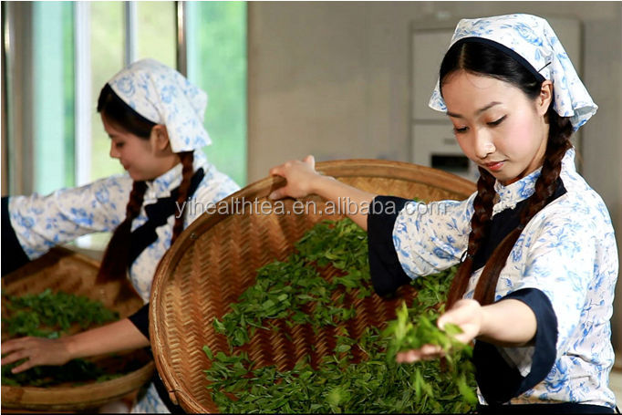 Best quality E.U, USDA,JAS certificated organic green tea