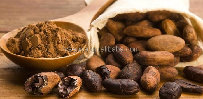 100% Brown Dutched Natural high quality cocoa powder