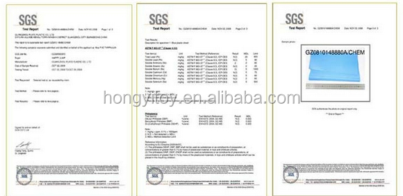 GSG certificate