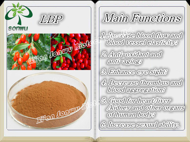 goji berry extract powder
