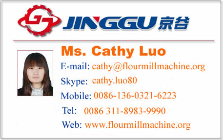 30ton Maize flour milling machine
