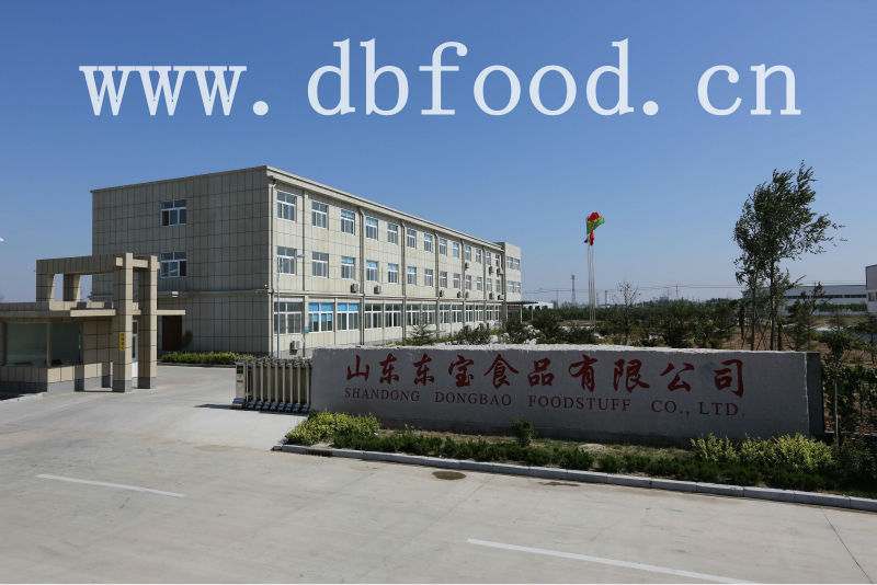 2014 new crop carrot granule1-3, 3*3, 5*5, 10*10mm with good quality from factory