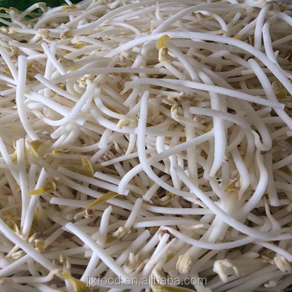bulk supplier wholesale frozen mung bean sprouts from china