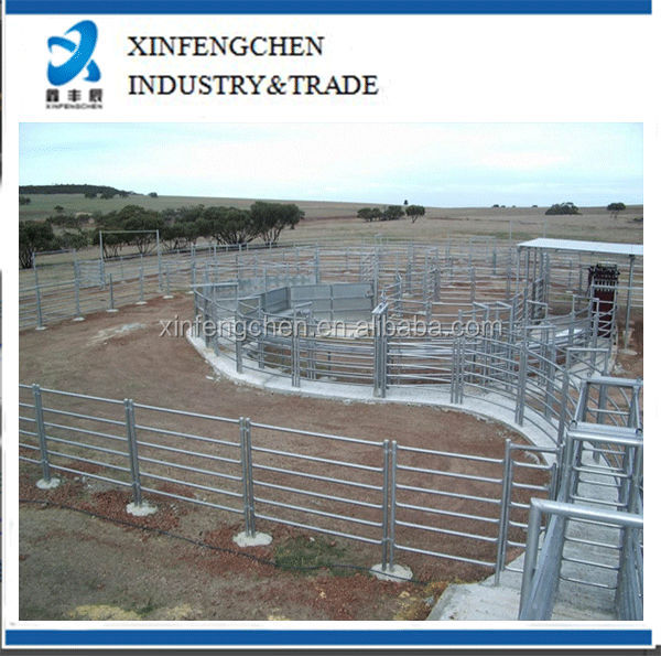 Permanent-Cattle-Yards--Panel-Format.jpg