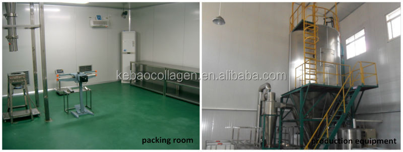 Tilapia fish scale Collagen Peptide Powder