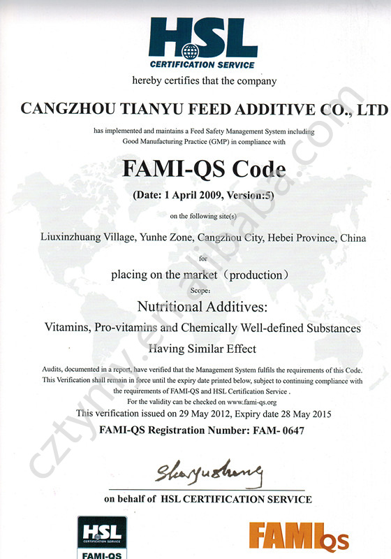 FAMI-QS_