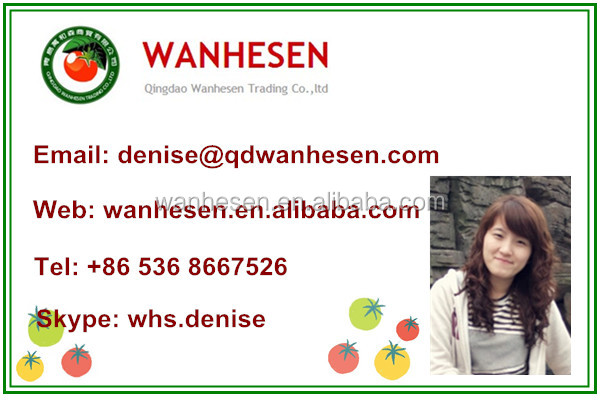 buy tomato paste in tin