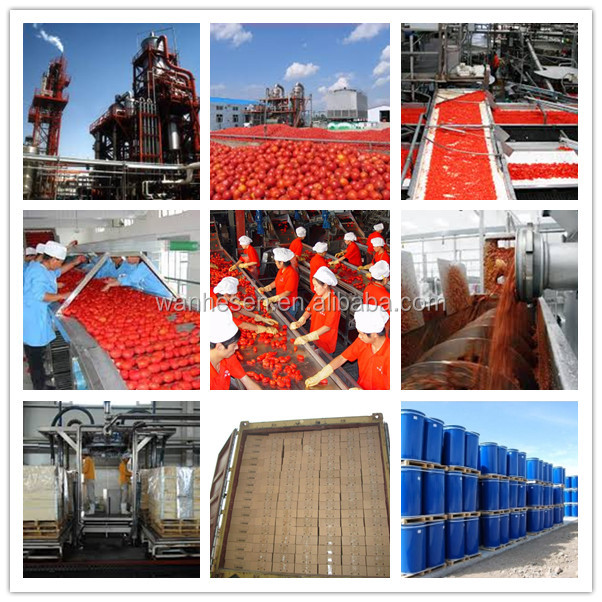 Best taste tomato ketchup concentrated in glass bottle 500gX12bottles