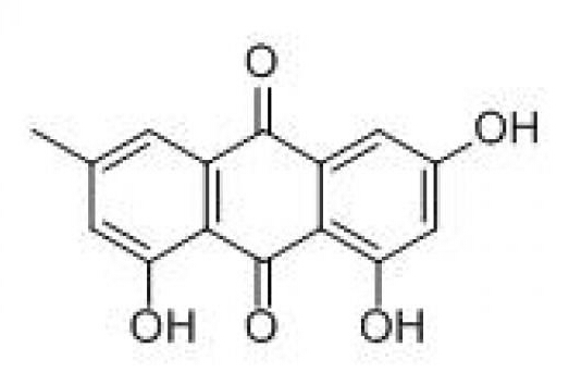 emodin 98% /aloe vera extract emodin / high quality emodin