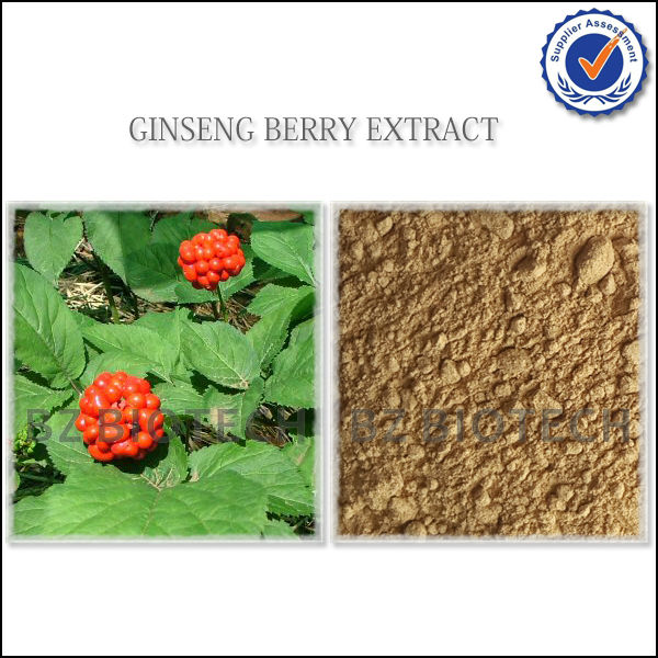 SIBERIAN GINSENG EXTRACT POWDER FOR TEA,WATER SOLUBLE GINSENG EXTRACT POWDER